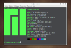 Neofetch : afficher les informations du système dans un terminal – memo ...